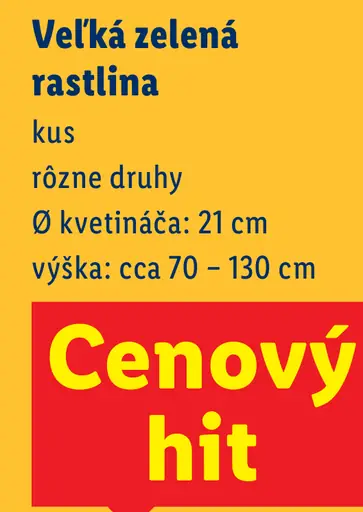 Zelená rastlina