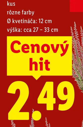 Vres obyčajný