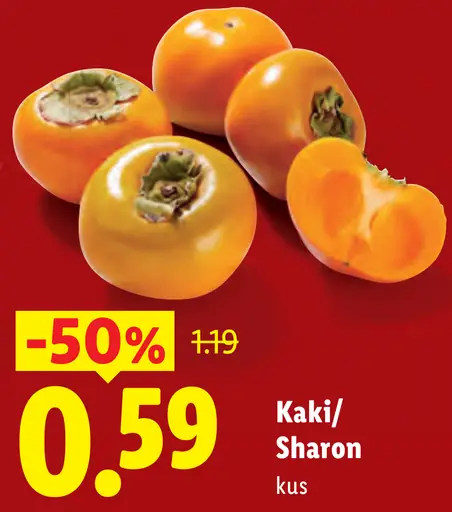 Kaki/Sharon