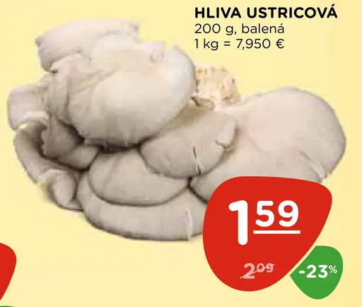 Hlíva Ústricová