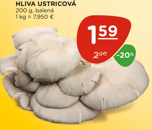 Hlíva Ústricová