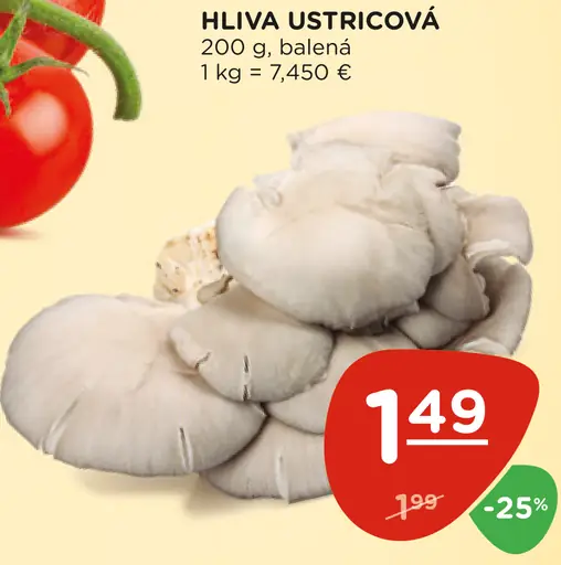 Hliva ustricová