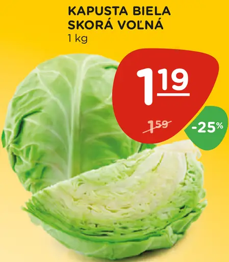 Kapusta biela