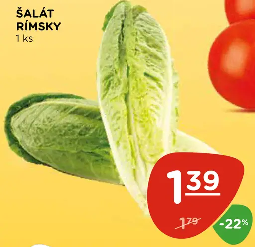Šalát rímsky