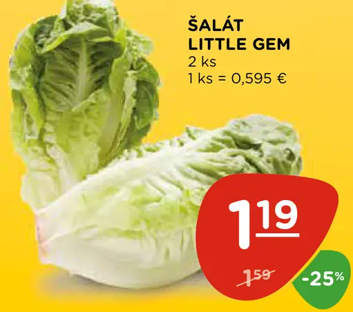 Šalát Little Gem