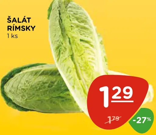 Šalát rímsky