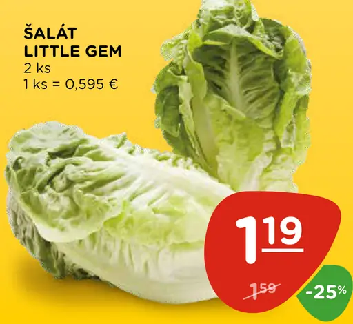 Šalát Little Gem
