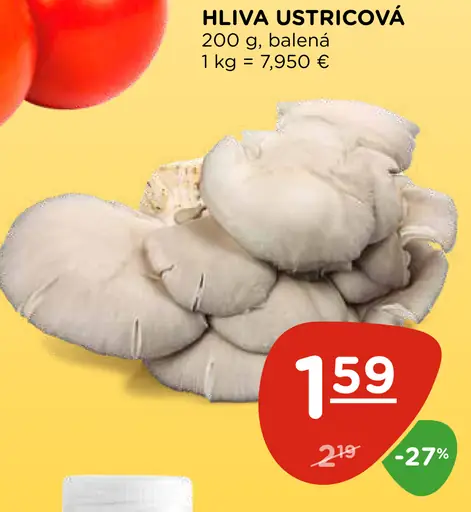 Hliva ustricová