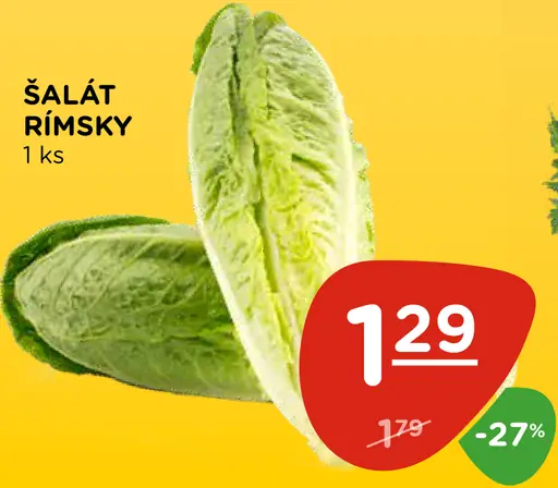 Šalát rímsky
