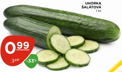 Uhorka šalátová