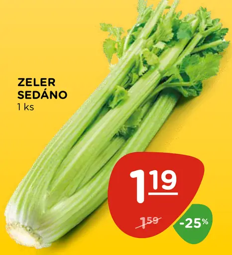 Zeler šťavnatý (sedáno)