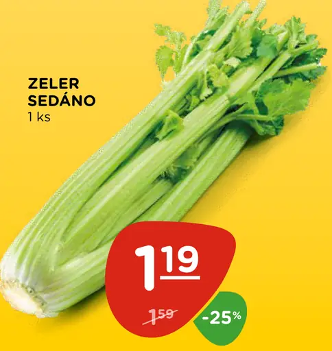 Melón žltý