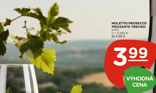 Moletto Prosecco Frizzante Treviso