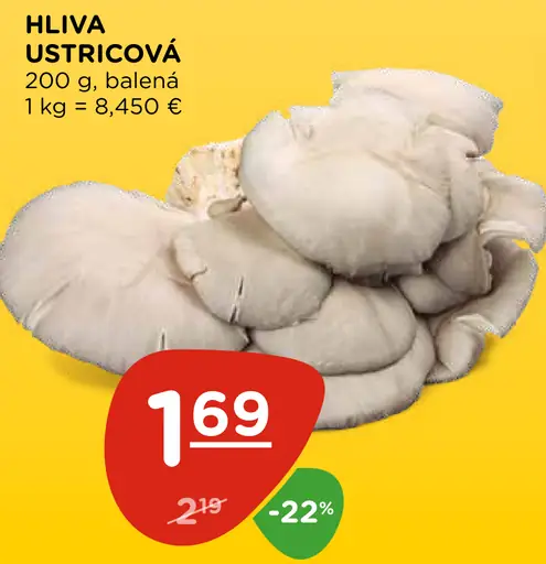 Hliva ustricová