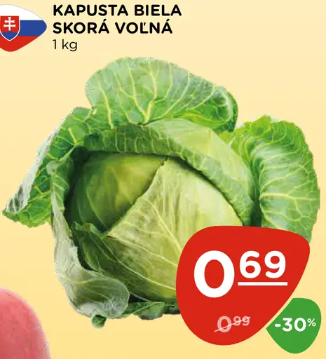 Kapusta biela
