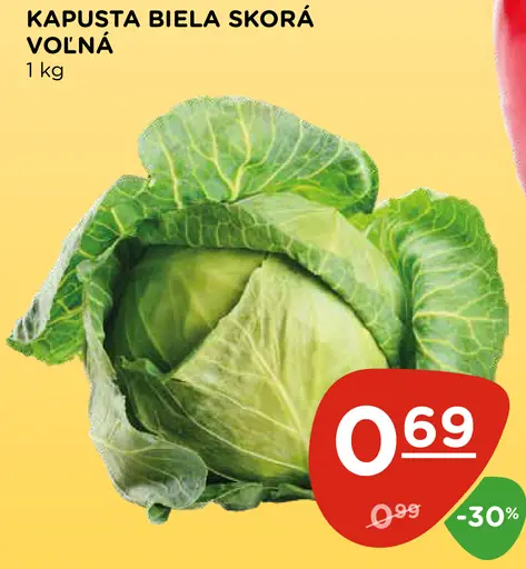 Kapusta biela