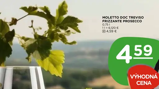 Moletto DOC Treviso Frizzante Prosecco