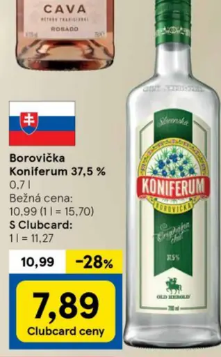 Borovička Koniferum