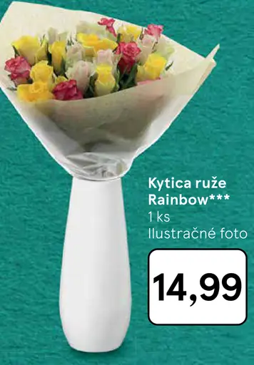 Kytica ruže Rainbow