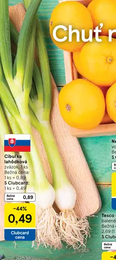 Cibuľka lahôdková