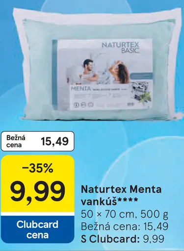 Naturex Menta vankúš