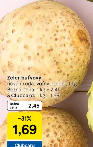 Zeler bulvový