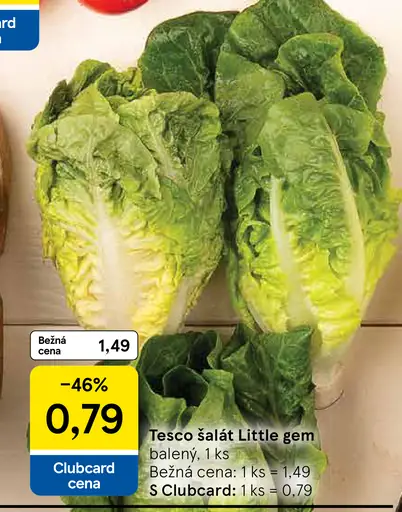Tesco šalát Little Gem