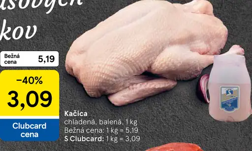 Kačica