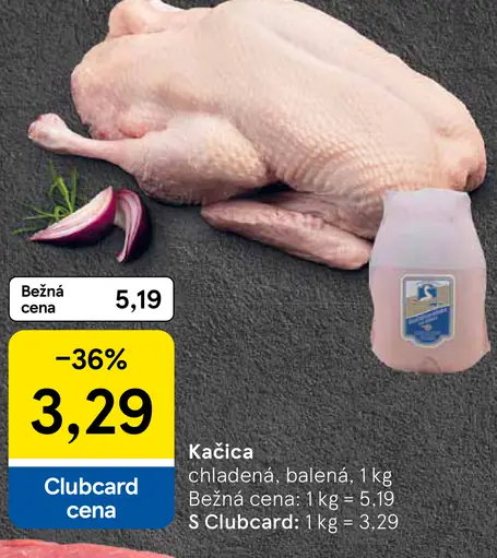Kačica
