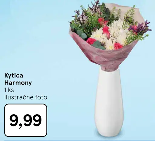 Kytica Harmony