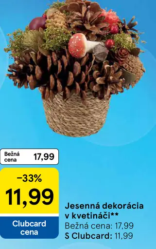 Jesenná dekorácia v kvetináči