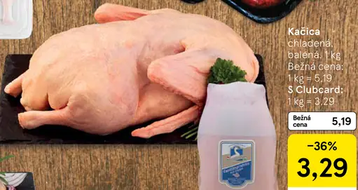 Kačica