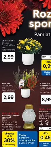 Jesenná kytica