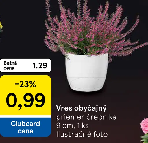 Vres obyčajný