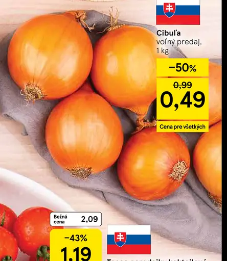 Cibuľa