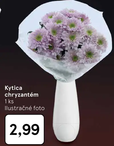 Kytica chryzantém