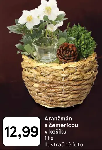 Aranžmán s čemericou v košíku