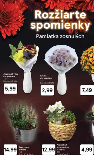 Jesenná kytica chryzantém