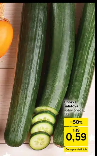 Uhorka šalátová