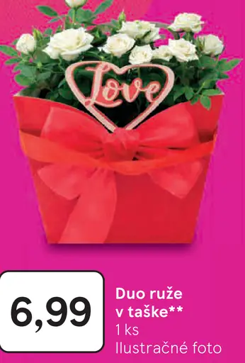 Duo ruže v taške