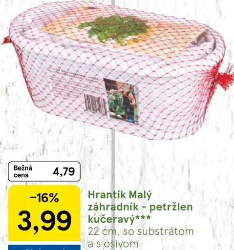 Hrantík Malý záhradník petržlen kučeravý so substrátom a osivom