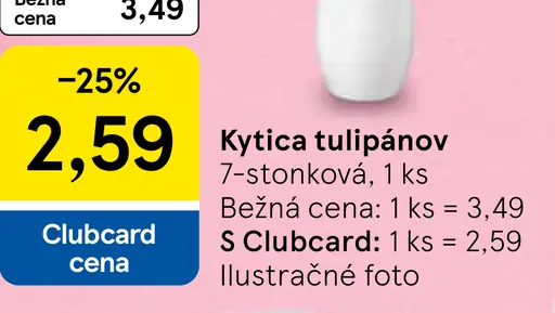 Veľká kytica tulipánov