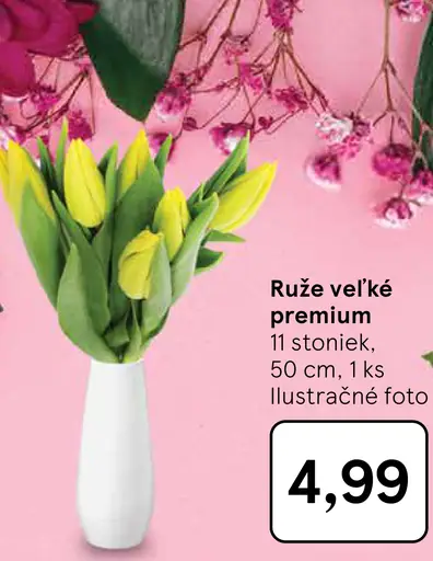 Ruža veľké premium