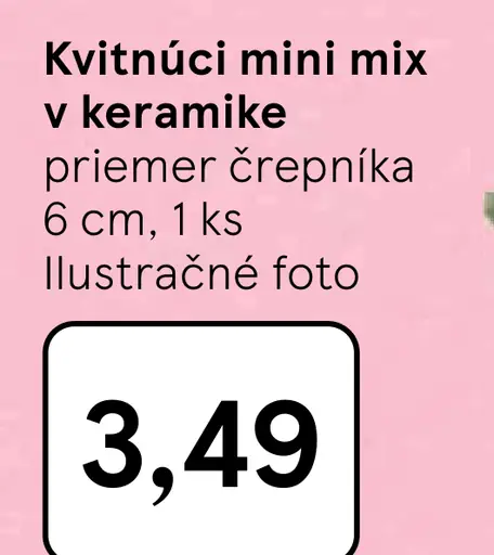 Kvitnúci mini mix v keramike