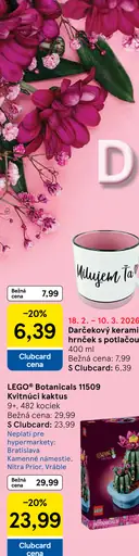 LEGO Botanicals Margarétky