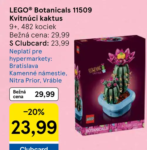 LEGO Botanicals Kvítúci kaktus