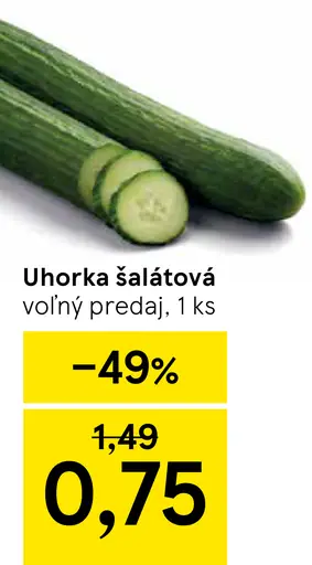 Uhorka šalátová
