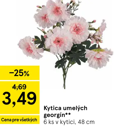 Kytica umelých georgín