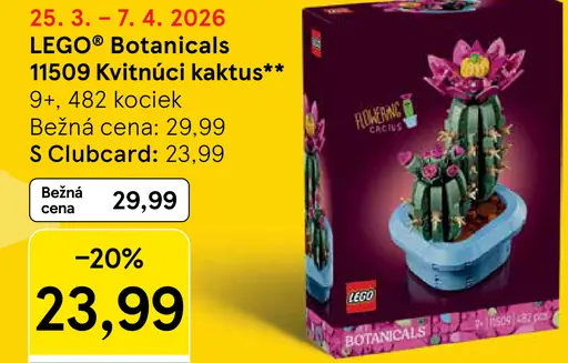 LEGO Botanicals Kvitnúci kaktus