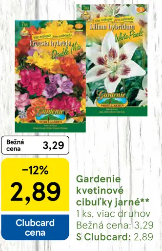 Gardenie kvetinové cibulky jarné